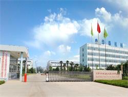 生物柴油設(shè)備,生物柴油精煉設(shè)備,生物柴油成套設(shè)備